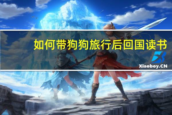 如何带狗狗旅行后回国读书