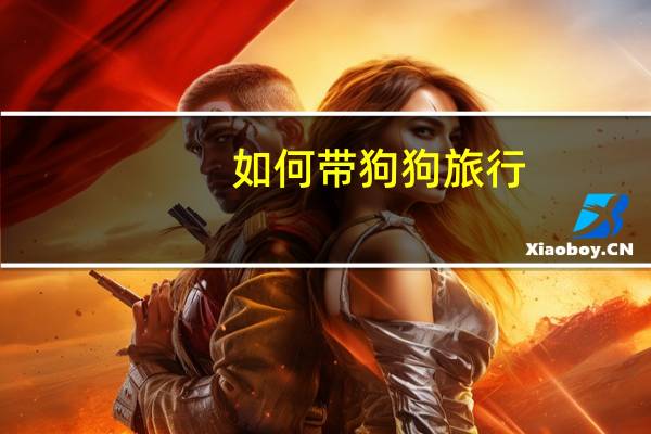 如何带狗狗旅行