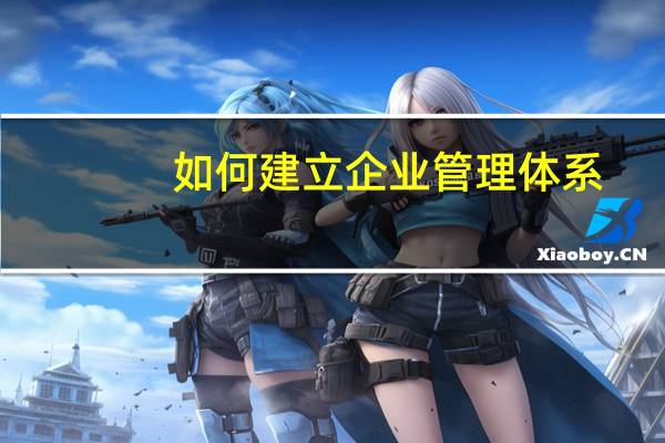 如何建立企业管理体系