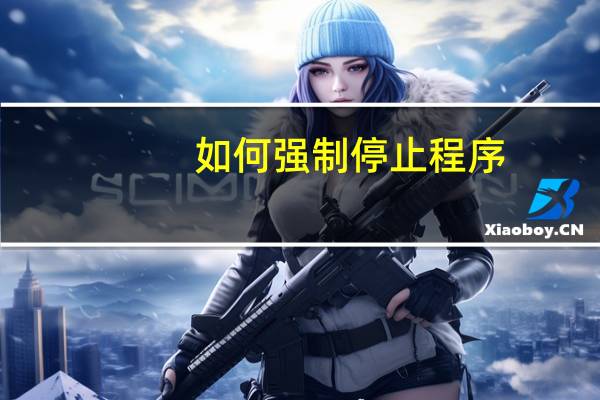 如何强制停止程序