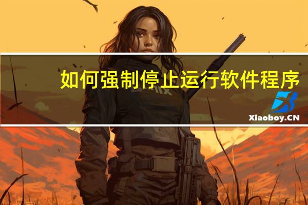 如何强制停止运行软件程序