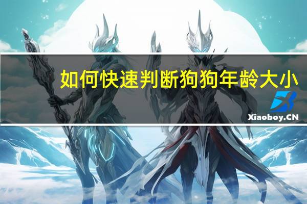 如何快速判断狗狗年龄大小