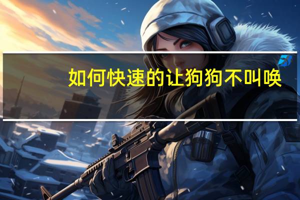如何快速的让狗狗不叫唤