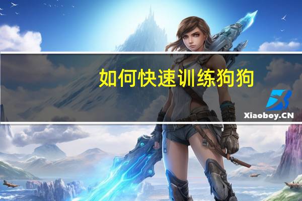 如何快速训练狗狗