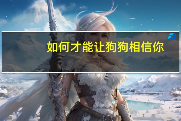 如何才能让狗狗相信你