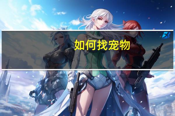 如何找宠物