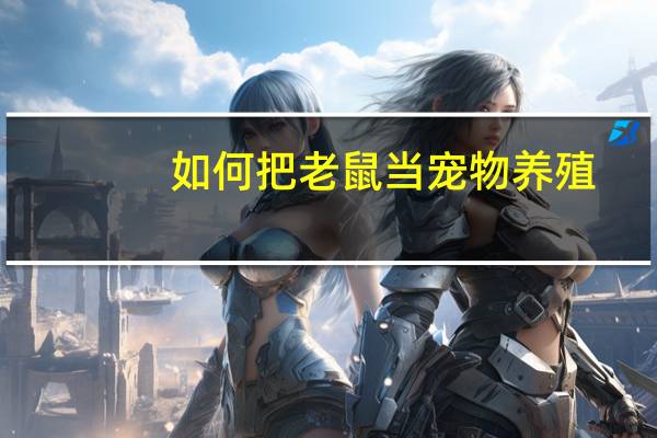 如何把老鼠当宠物养殖