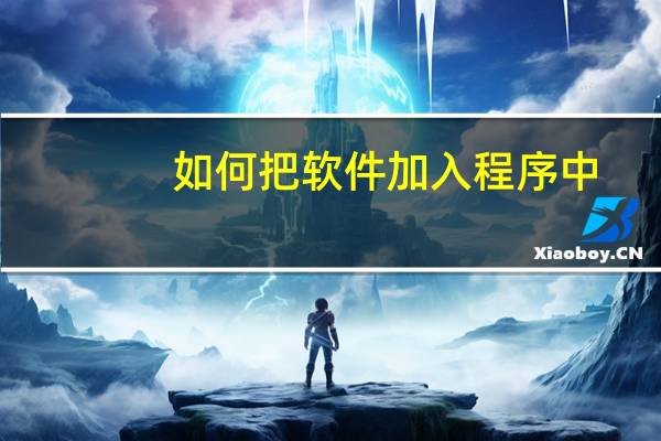 如何把软件加入程序中
