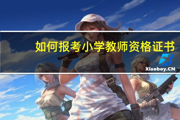 如何报考小学教师资格证书