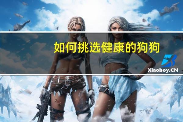 如何挑选健康的狗狗