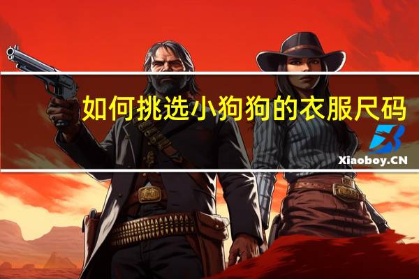 如何挑选小狗狗的衣服尺码