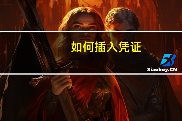 如何插入凭证