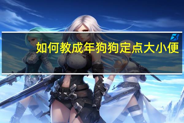如何教成年狗狗定点大小便