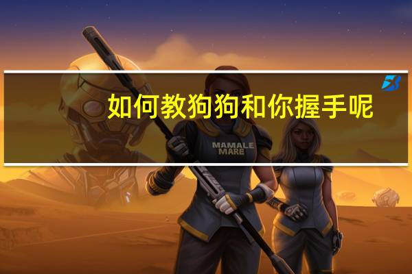 如何教狗狗和你握手呢