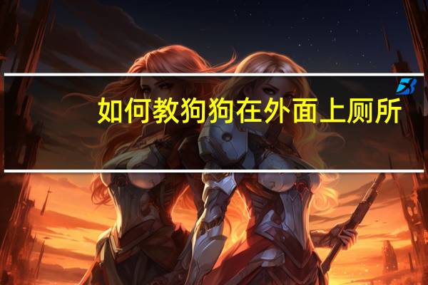 如何教狗狗在外面上厕所