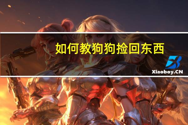 如何教狗狗捡回东西