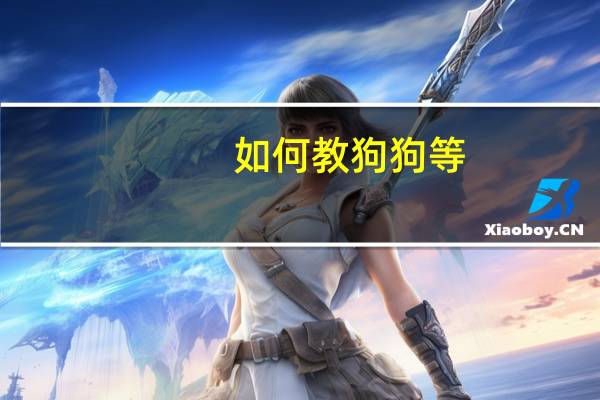 如何教狗狗等