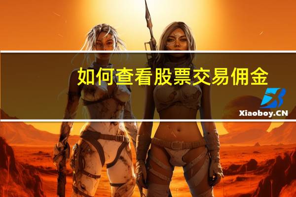 如何查看股票交易佣金