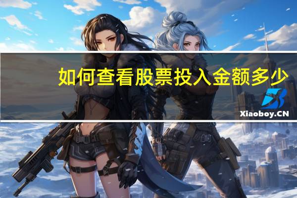 如何查看股票投入金额多少