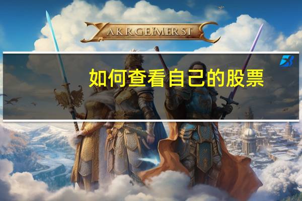 如何查看自己的股票