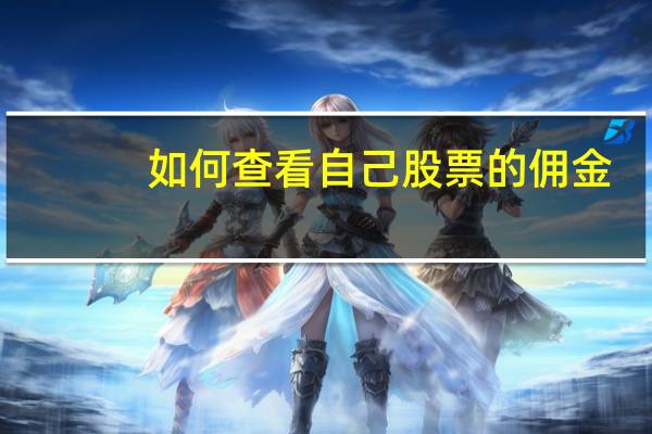 如何查看自己股票的佣金