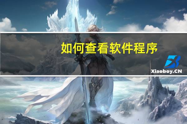 如何查看软件程序