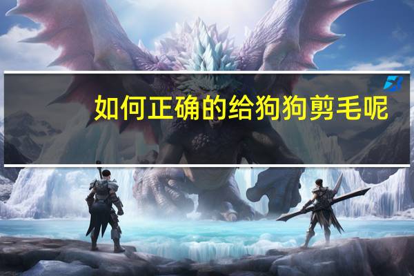 如何正确的给狗狗剪毛呢