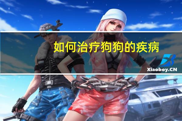 如何治疗狗狗的疾病