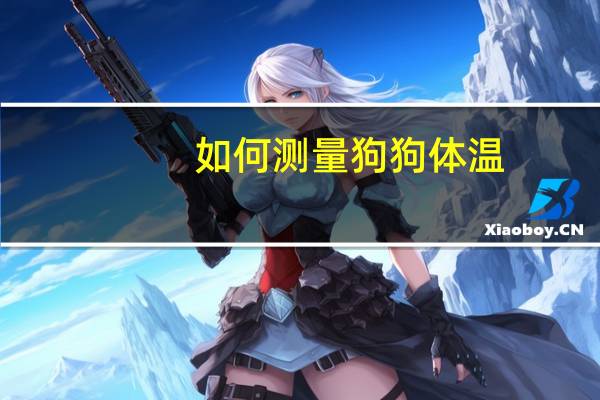 如何测量狗狗体温