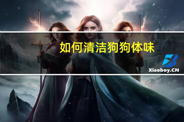 如何清洁狗狗体味