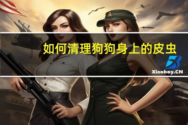 如何清理狗狗身上的皮虫