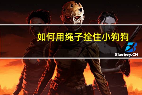 如何用绳子拴住小狗狗