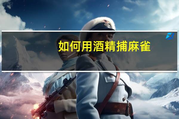 如何用酒精捕麻雀