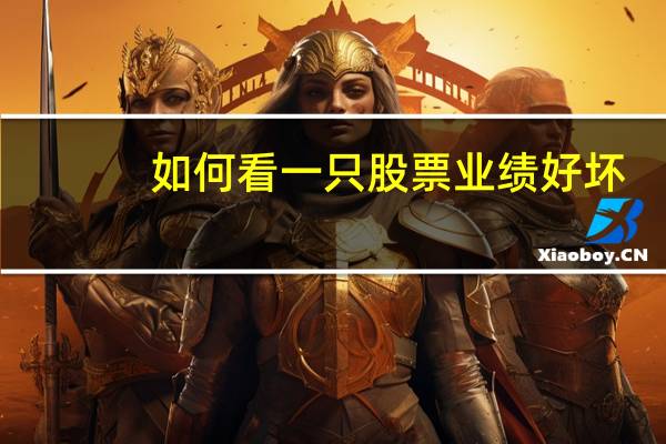 如何看一只股票业绩好坏