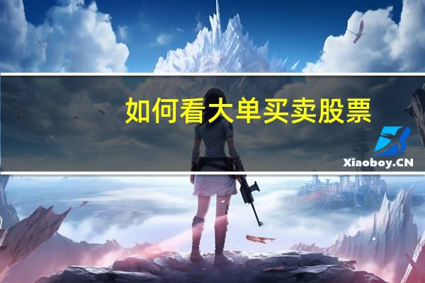 如何看大单买卖股票