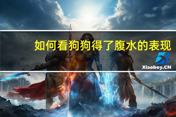 如何看狗狗得了腹水的表现