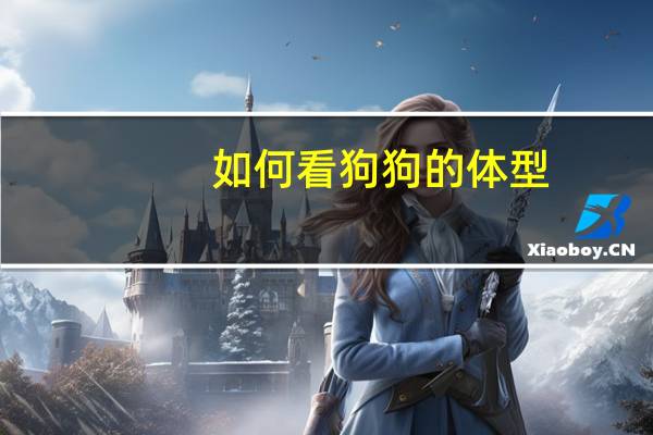 如何看狗狗的体型