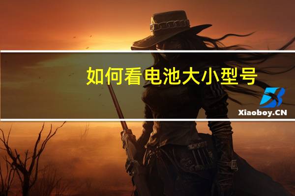 如何看电池大小型号