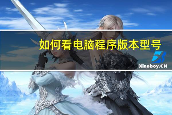 如何看电脑程序版本型号