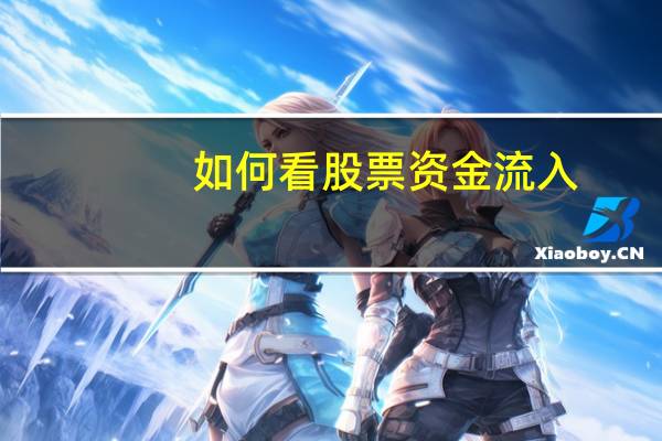如何看股票资金流入