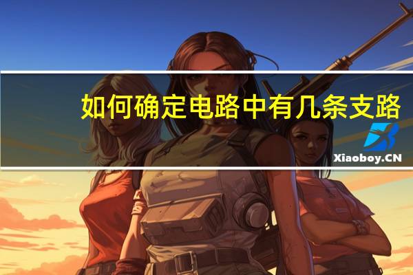 如何确定电路中有几条支路