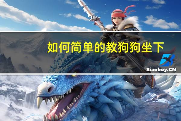 如何简单的教狗狗坐下