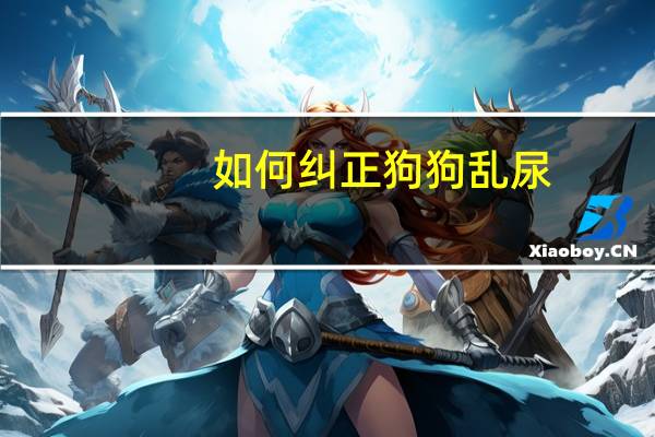 如何纠正狗狗乱尿