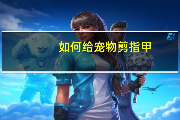 如何给宠物剪指甲