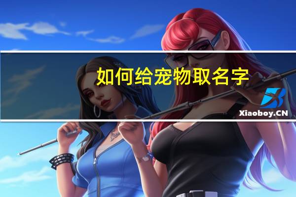 如何给宠物取名字