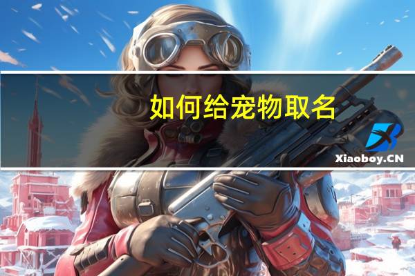 如何给宠物取名