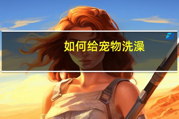 如何给宠物洗澡