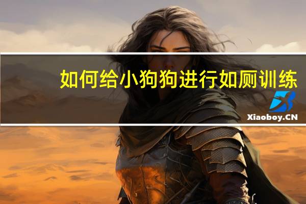如何给小狗狗进行如厕训练