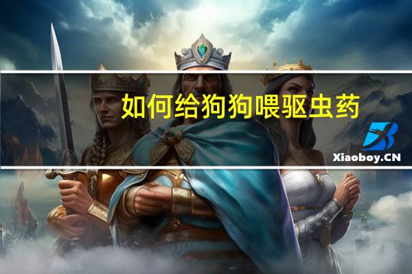 如何给狗狗喂驱虫药
