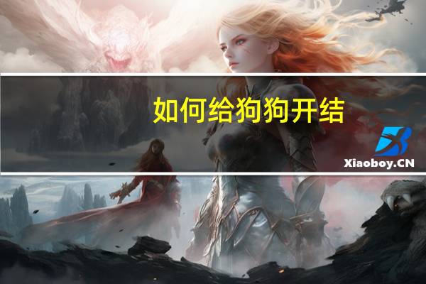 如何给狗狗开结
